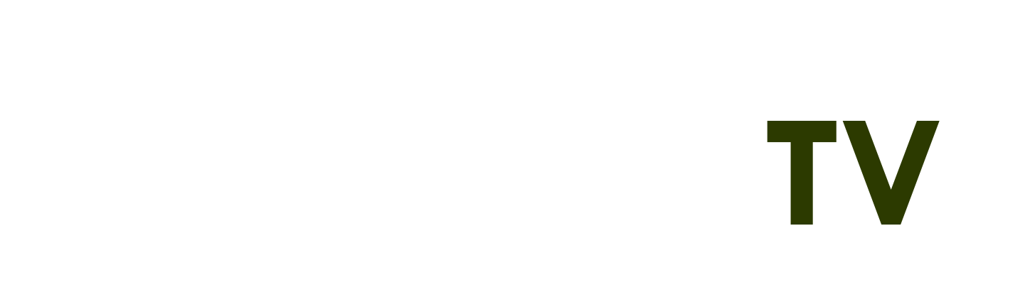màn hình zestech